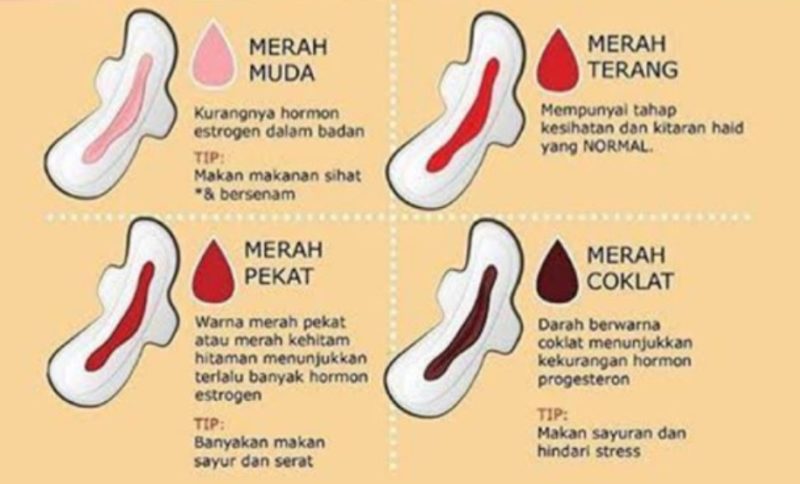 Darah period warna coklat