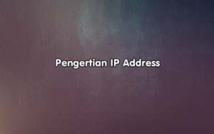 Pengertian IP Address, Jenis-Jenis dan Fungsi IP Address