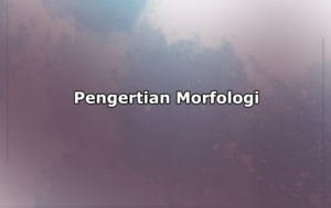 Pengertian Morfologi, Proses, Cabang Ilmu dan Contoh Morfologi