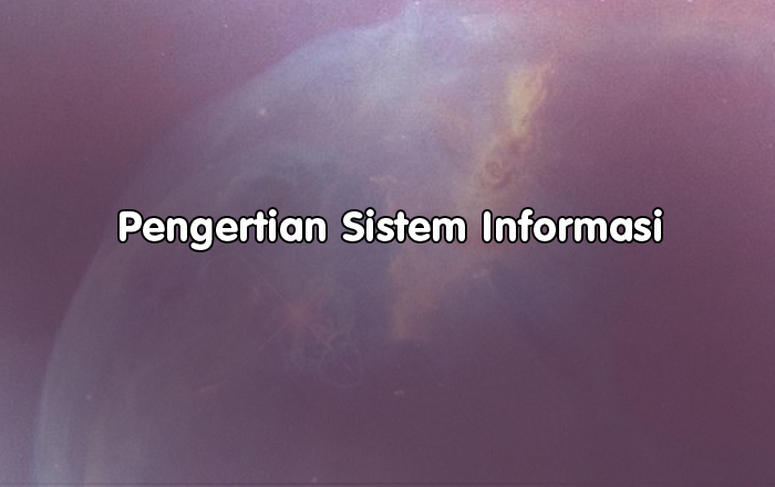 Pengertian Sistem Informasi, Komponen, Jenis-Jenis dan Contoh Penerapan Sistem Informasi