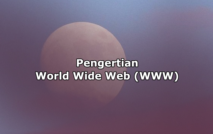 Pengertian World Wide Web (WWW)