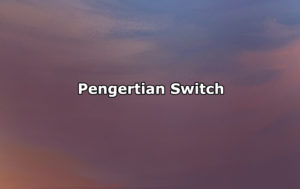 Pengertian Switch, Jenis-Jenis, Fungsi dan Cara Kerja Switch