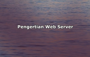 Pengertian Web Server, Jenis-Jenis dan Fungsi Web Server