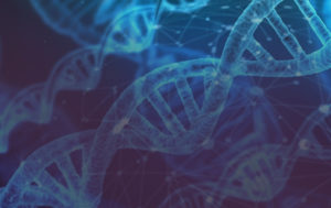 Pengertian DNA, Sejarah, Fungsi dan Identifikasi DNA