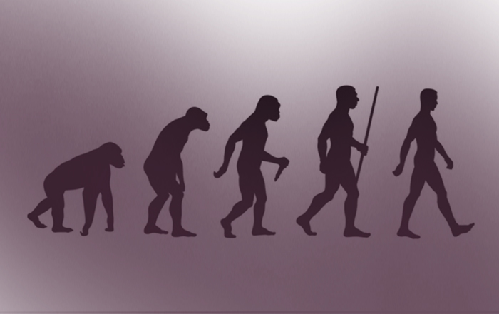 Pengertian Evolusi