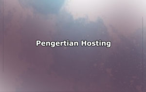 Pengertian Hosting, Jenis-Jenis Web Hosting dan Fungsi Hosting
