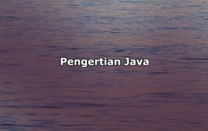 Pengertian Java, Fungsi, Kelebihan dan Kekurangan Java