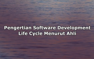 Pengertian Software Development Life Cycle Menurut Para Ahli