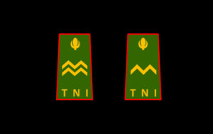Pangkat Bintara Tinggi TNI AD