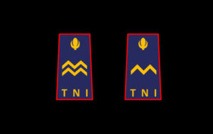 Pangkat Bintara Tinggi TNI AU
