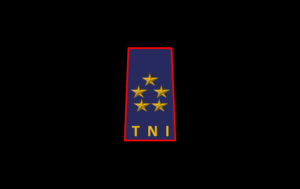Pangkat Kehormatan TNI AU