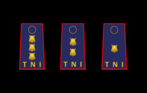 Pangkat Perwira Menengah TNI AU