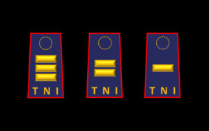 Pangkat Perwira Pertama TNI AU